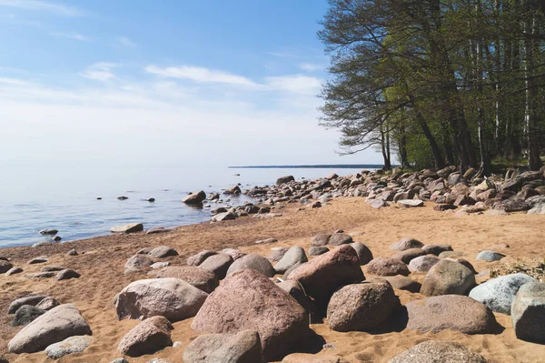 砂浜に石があるビーチ 海岸線に木がある 夏の風景 — ストック写真