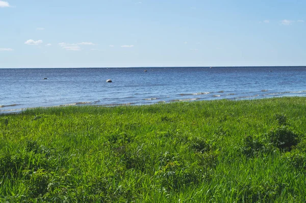 海の岸 水平線だ 緑の草で覆われた海岸です — ストック写真