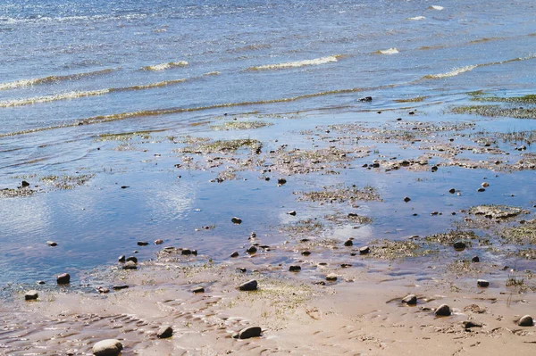 Dalgalı ıslak kumda taşlar. Deniz kıyısındaki çakıl taşları yakın mesafede. soyut arkaplan