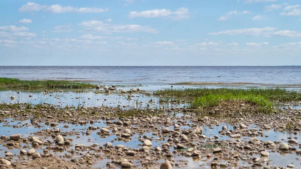 Denizin kıyısında. Ufuk çizgisi olan deniz manzarası. Bulutlu gökyüzü. Çakıl taşlı alüvyon kıyısı. su yüzeyi