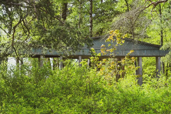 Wooden building among lush foliage. green plants and trees