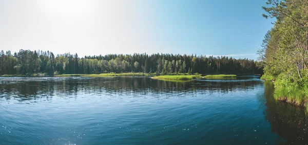 Bosque Lago Panorama Superficie Agua Con Ondulaciones Día Verano — Foto de Stock