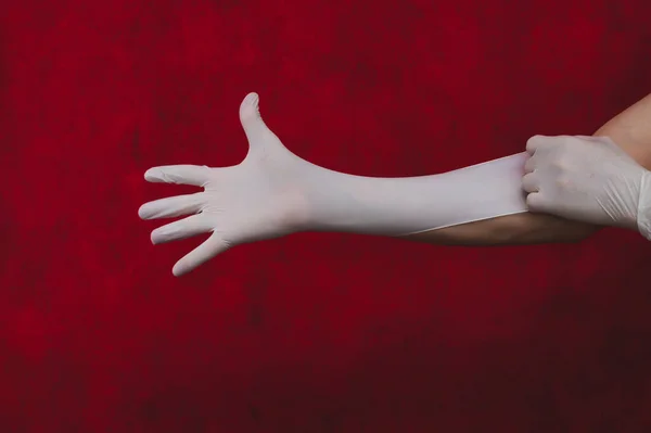 Руки Белых Медицинских Перчатках Человек Надевает Хирургические Перчатки Красный Фон — стоковое фото