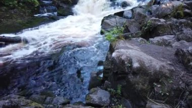  Orman nehri. Woodland Deresi. Su sıçratarak akıyor. Kayalık su yolu