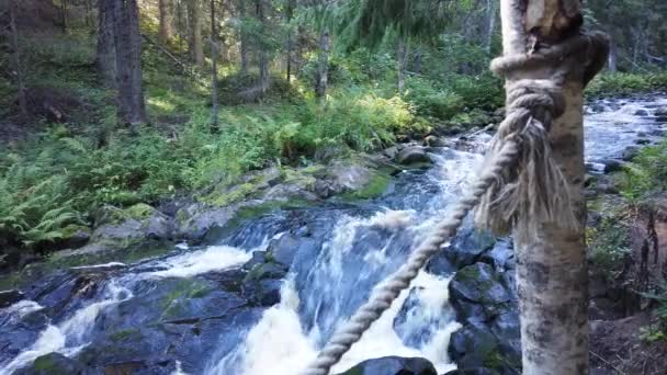 Rzeka Lasu Woodland Creek Przepływ Wody Rozpryskami Skalisty Ciek Wodny — Wideo stockowe