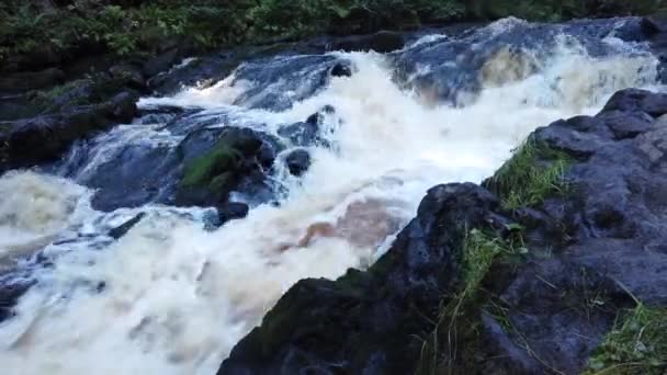 Rzeka Lasu Woodland Creek Przepływ Wody Rozpryskami Skalisty Ciek Wodny — Wideo stockowe