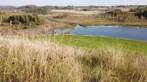 Lago Nella Valle Vista Aerea Paesaggio Naturale — Video Stock