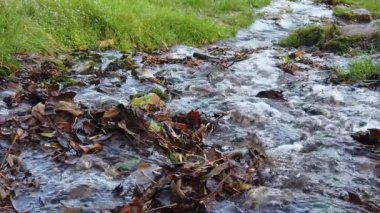 Orman nehri. Woodland Deresi. Su sıçratarak akıyor. yavaş çekim