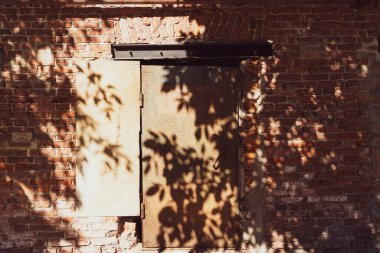 Güneşli bir günde eski tuğla duvardaki bitkilerin gölgeleri. Ortadaki paslı demir kapı.