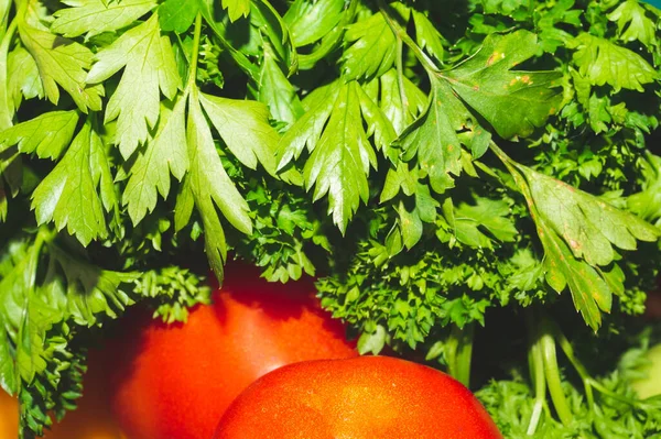 Taze maydanozlar, arka planı kapatın. Vejetaryen yemeği. yemek malzemesi