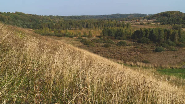 Вид Долину Сільської Місцевості Осінній Пейзаж — стокове фото