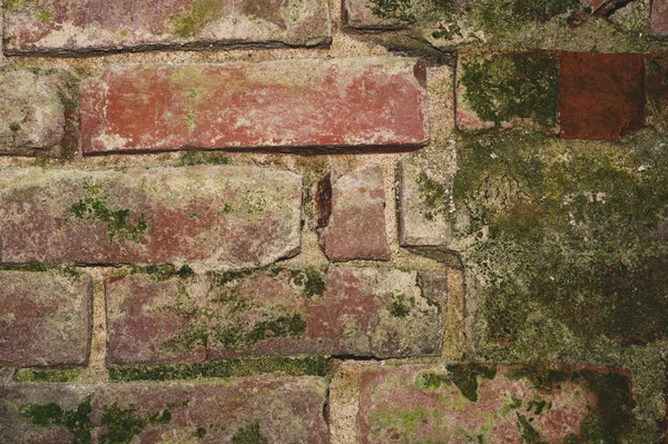 苔で古いレンガの壁を閉じる グランジの背景 — ストック写真