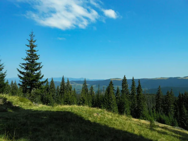 Pohled Karpatské Cesty Vrchol Goverla Umístění Karpaty Ukrajina Evropa Přirozených — Stock fotografie