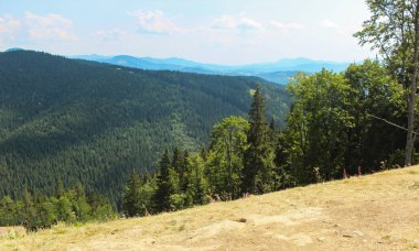 Karpat yolundan Goverla tepesine görüntüleyin. Karpatlar, Ukrayna, Avrupa'nın konumu. Karpatlar'doğal çam ormanlarında.