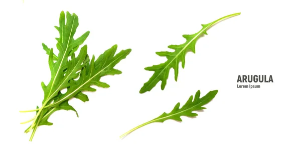 Groen fris blad rucola of arugula geïsoleerd op witte achtergrond — Stockfoto