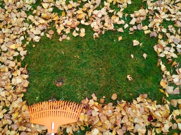 Pilha de folhas de outono com ancinho de ventilador no gramado — Fotografia de Stock