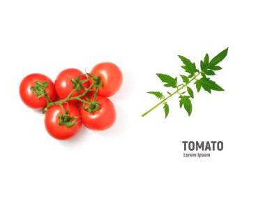 Beyaz arkaplanda izole domates ve domates yaprakları, üst görünüm