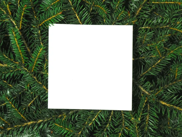 Concepto de árbol de Navidad. Diseño hecho de ramas de árbol de Navidad con espacio para copiar. Acostado. Naturaleza concepto de Año Nuevo. — Foto de Stock