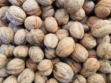 Ceviz arkaplan. Ceviz dokusu. Ceviz arkaplan. Organik yiyecekler.