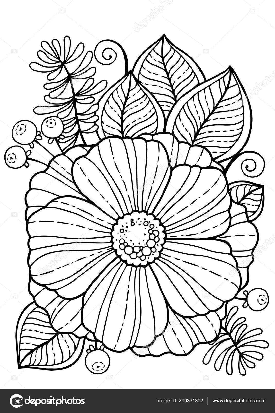 Libro Para Colorear Para Adultos Flores Verano Elementos Aislados