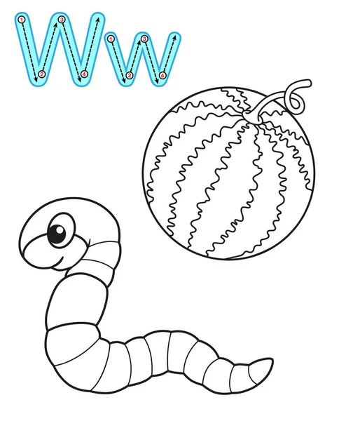 Afdrukbare kleurplaat voor kleuterschool en kleuterschool. Kaart voor studie Engels. Vector kleurboek alfabet. Letter W. watermeloen, worm — Stockvector