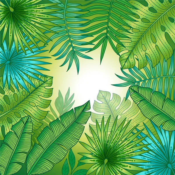 热带植物背景 有香蕉和棕榈树的叶子 矢量隔离图层 夏季异国情调的设计邀请 — 图库矢量图片