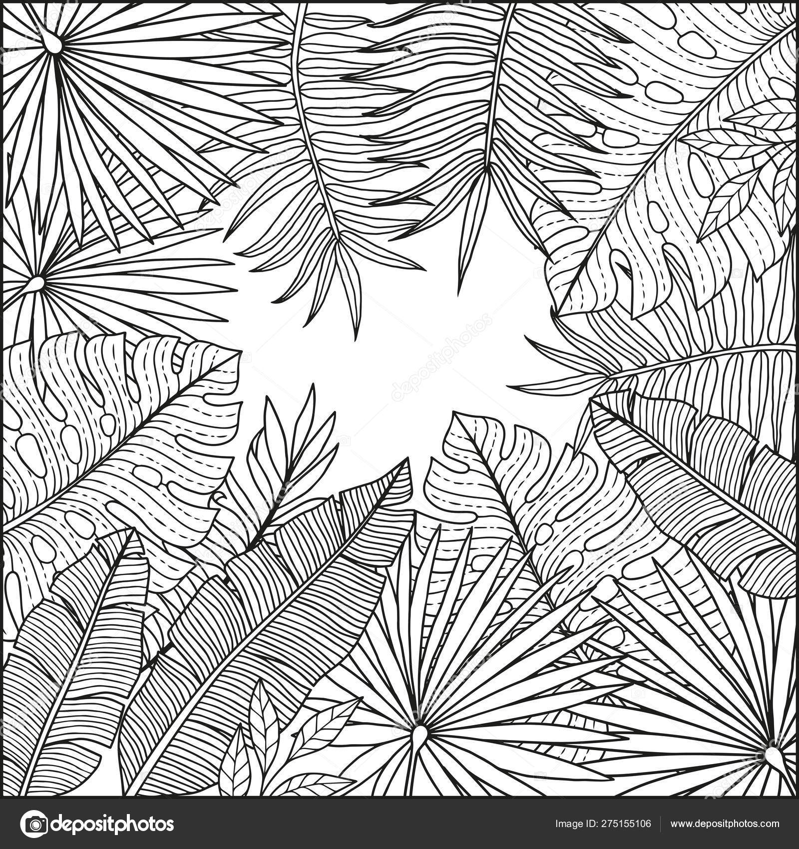 大人のためのベクトル塗り絵 バナナとヤシの木の葉を持つ熱帯植物の背景 ベクトル分離レイヤー 招待状 ポスター 背景のための夏のエキゾチックなデザイン  ストックベクター ©natasha-tpr 275155106, image size:1600x1700