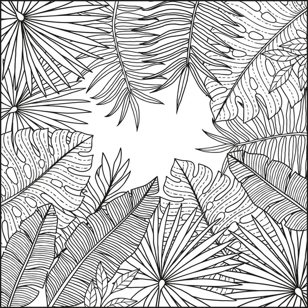 成人矢量着色书 热带植物背景 有香蕉和棕榈树的叶子 矢量隔离图层 夏季异国情调的设计邀请 — 图库矢量图片