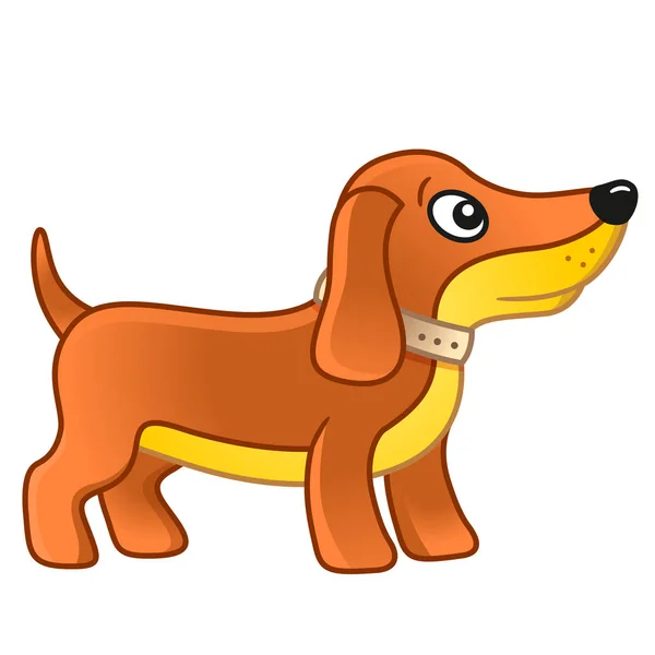 Schattig Cartoon Teckel Hond Vector Illustratie Van Een Huisdier Geïsoleerde — Stockvector