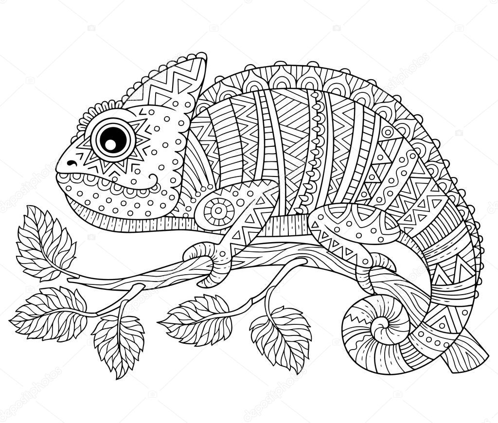Vector coloring book for adults, contour chameleon on a branch isolated on white background. Patterns and small details for coloring page