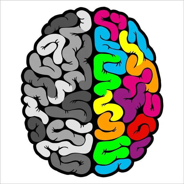 사고 과정의 개념. 창조적 인 왼쪽 뇌와 논리적 인 오른쪽 뇌. 개념적 배경이 있습니다. 벡터 일러스트 — 스톡 벡터