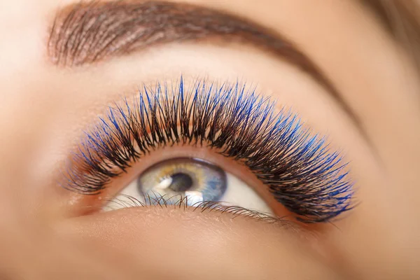 Wimper extensie Procedure. De ogen van de vrouw met lange blauwe wimpers. Ombre effect. Close-up, selectieve aandacht. — Stockfoto