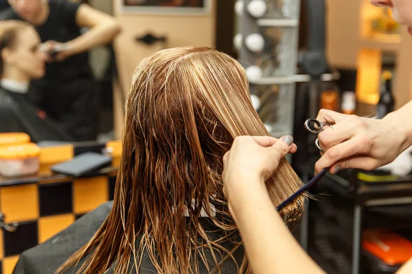 Professionelle Friseurin färbt Haare ihrer Kundin im Salon. Haarschneider schneiden Haare. Selektiver Fokus. — Stockfoto