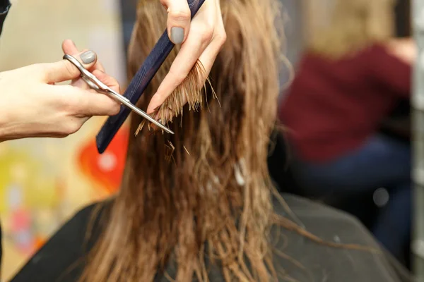 Professional hairdresser dyeing hair of her client in salon. Haircutter cuting hair. Selective focus. — Stock Photo, Image