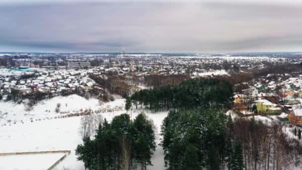 雪冬园的鸟图。冬天没有叶子的松树和树木。大都市的雪上公园。空中景观. — 图库视频影像