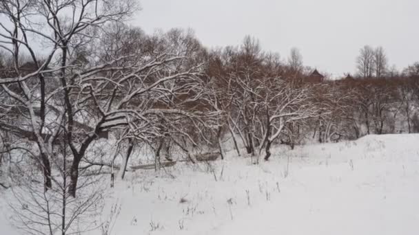 Maravilloso paisaje invernal de bosques helados, colinas nevadas. Vuelo aéreo por ramas de abeto del bosque brumoso en el día de invierno blanco . — Vídeos de Stock