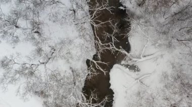 Ağaçları ve bankalar tarafından çevrili bir kış küçük Nehri'nin havadan görünümü karla kaplı