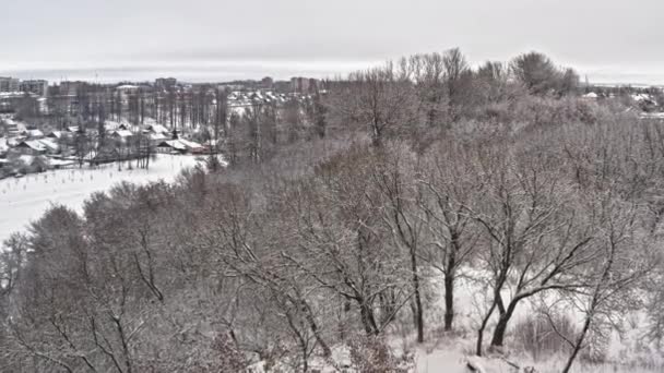 霜の森、雪に覆われた丘の素晴らしい冬の風景。空中に飛ぶ白い冬の日に霧の森から小ぎれいなな木の枝. — ストック動画