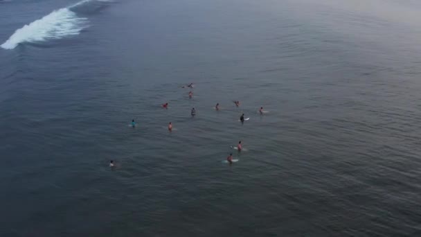 Μια αεροφωτογραφία ομάδα surfers περιμένοντας ένα κύμα στον ωκεανό, σε μια σαφή ημέρα. Αεροφωτογραφία του σερφ στον τεράστιο κύμα στον Ινδικό Ωκεανό. Δείτε σέρφερ στην παραλία επάνω — Αρχείο Βίντεο