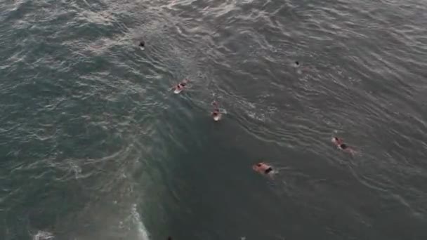 Luftaufnahme der Fasswelle im tropischen Ozean, Bali, Gruppe von Surfern im Wasser. — Stockvideo