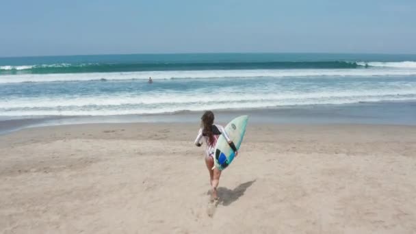 Do oceánu vteče surferova žena se surfu. Moderní životní styl. Sportovní tábor a extrémní plavání na letních prázdninách. Vzdušné záběry. — Stock video