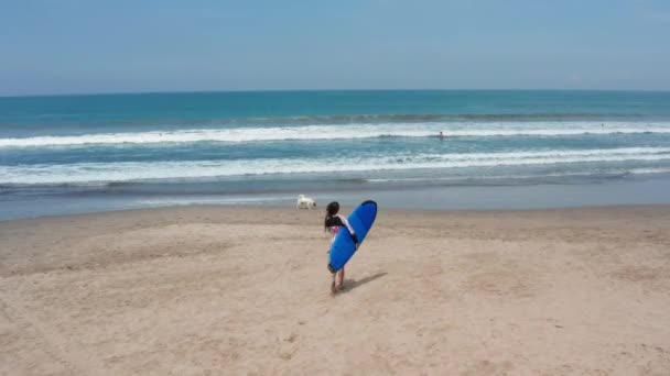 Mujer surfista en forma corre hacia el océano con tabla de surf. Estilo de vida moderno. Campamento deportivo y natación extrema en vacaciones de verano. Imágenes aéreas de aviones no tripulados . — Vídeos de Stock