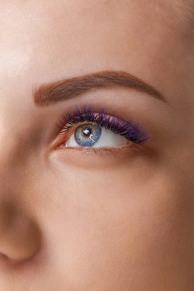 Wimper extensie Procedure. De ogen van de vrouw met lange blauwe wimpers. Ombre effect. Close-up, selectieve aandacht. — Stockfoto