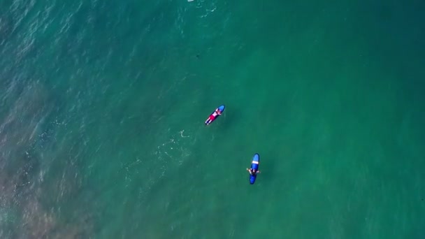 Ett Flygfoto grupp av surfare som väntar på en våg i havet på en klar dag. Flygfoto av surfare på enorma Indiska oceanen våg. Surfare längst stranden Visa — Stockvideo