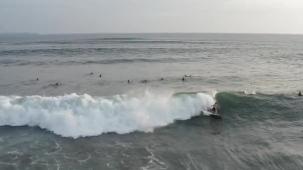 Mavi Okyanus Dalgası Sürme Sörfçü Havadan Görünümü. Drone 4k shot sörf okyanus yaşam tarzı, ekstrem spor. — Stok video