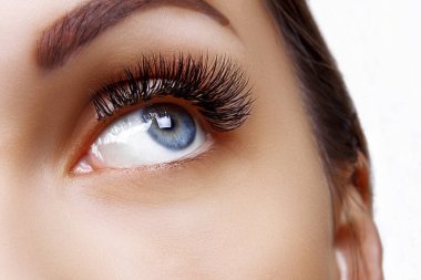 Kirpik uzatma yordamı. Kadın uzun mavi kirpik gözle. Ombre etkisi. Yakın, seçici odak.