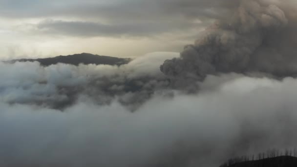 Drone vista aérea do vulcão ativo Bromo. Nascer do sol, multidão de turistas no ponto de vista. 4K curto . — Vídeo de Stock