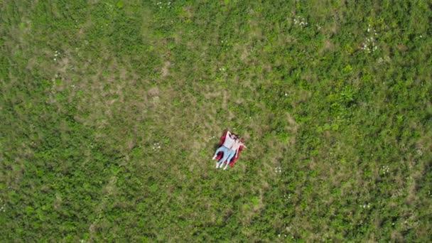 Feliz pareja joven tendida en la hierba en el prado. La cámara se aleja lentamente de ellos. Arriba hacia abajo. 4K . — Vídeo de stock