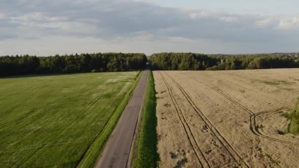 Route droite côté agriculture. L'homme conduit une moto sur un coucher de soleil en passant dans la scène. Vue aérienne. 4K . — Video