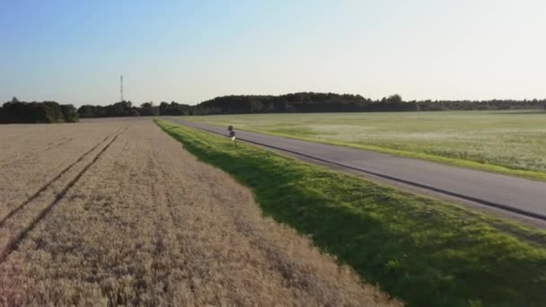 Tarım tarafında düz yol. Adam gün batımında olay yerinden geçen bir motosiklete biner. Havadan görünüm. 4k. — Stok video